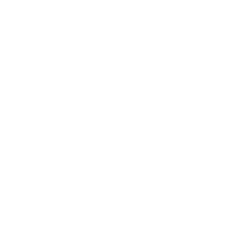 Bullet Points