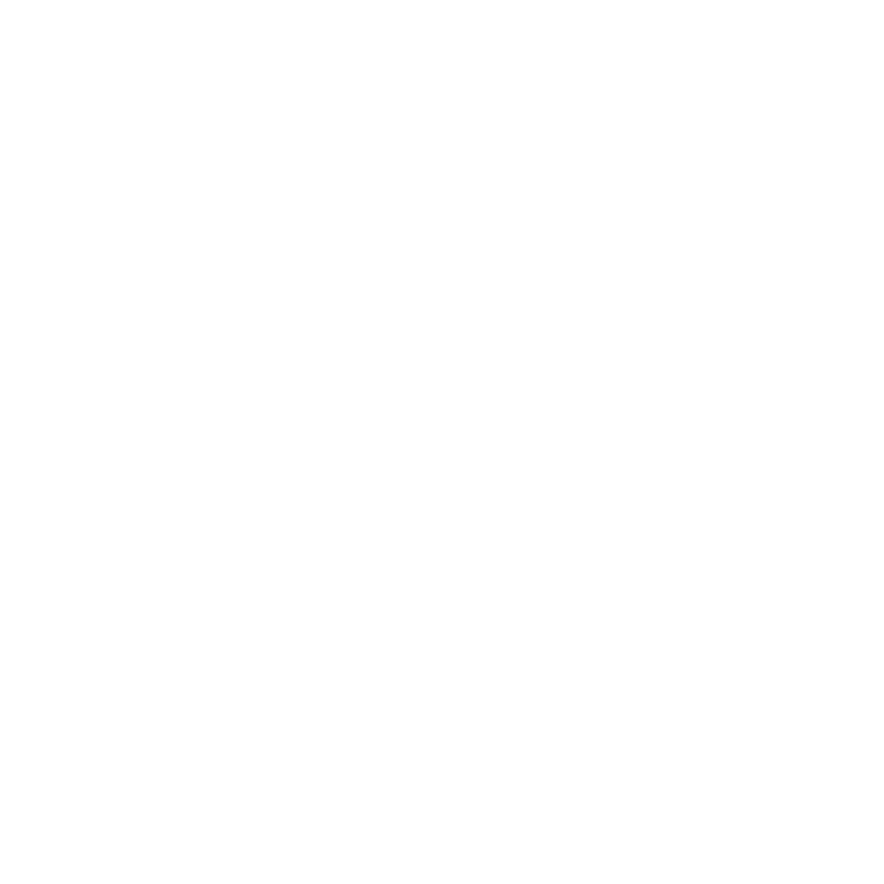 Website Options