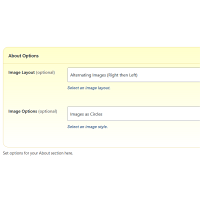 Screenshot of the About admin section