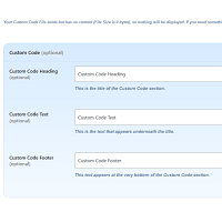 Screenshot of the Custom Code admin section