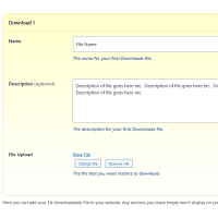 Screenshot of the Downloads admin section