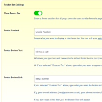 Screenshot of the Footer admin section