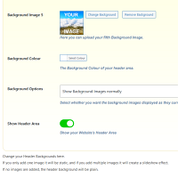 Screenshot of the Header admin section