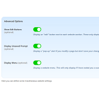 Screenshot of the Website Options admin section