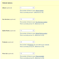 Screenshot of the Website Options admin section