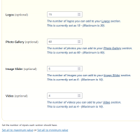 Screenshot of the Website Options admin section