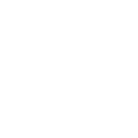 Website Features